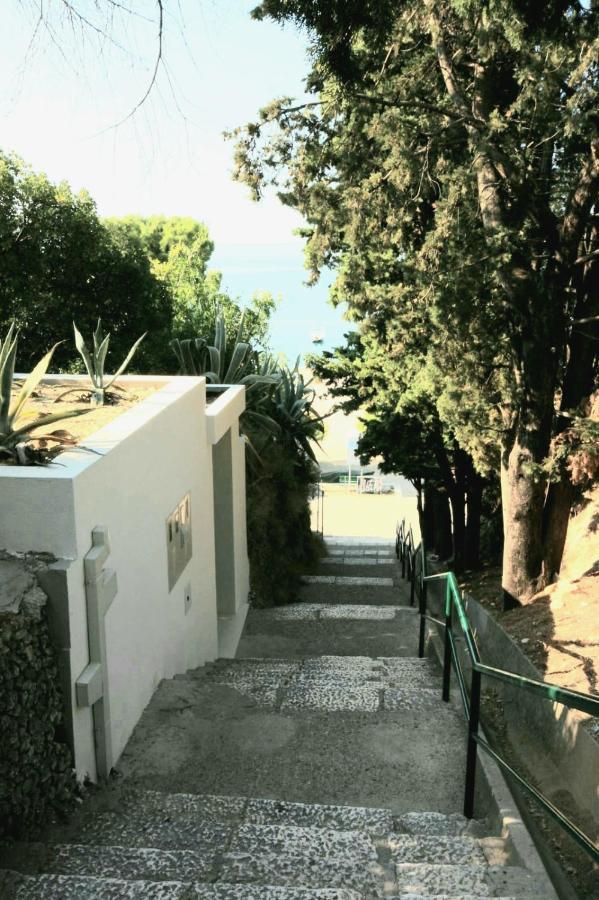 Apartman Rose, Close To The *